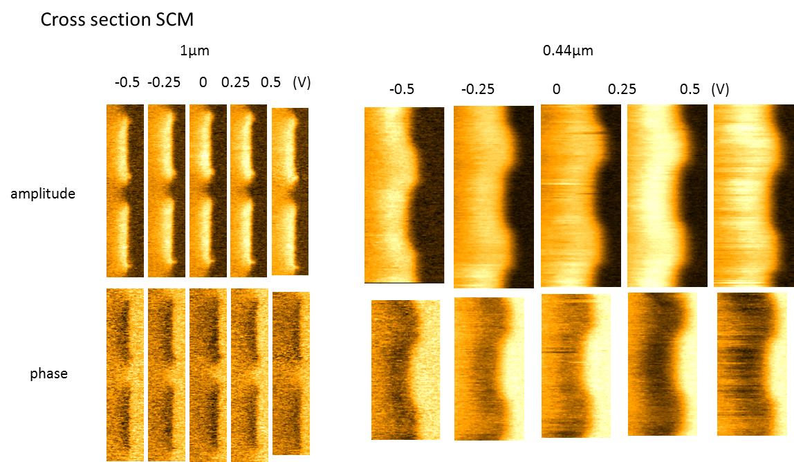 SCM8